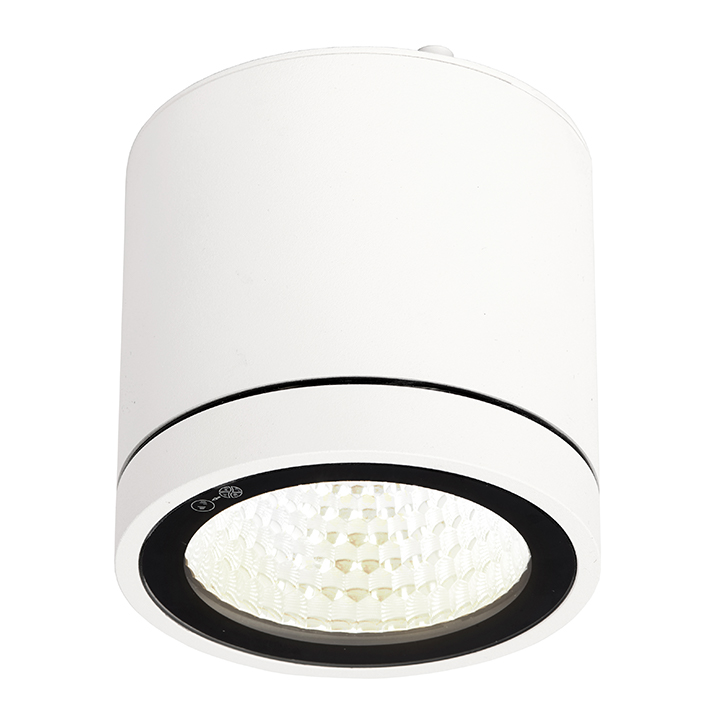 Furia Spotlight 10W 100mm