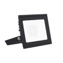 Eden Floodlight 30W 167mm