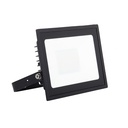 Eden Floodlight 50W 197mm