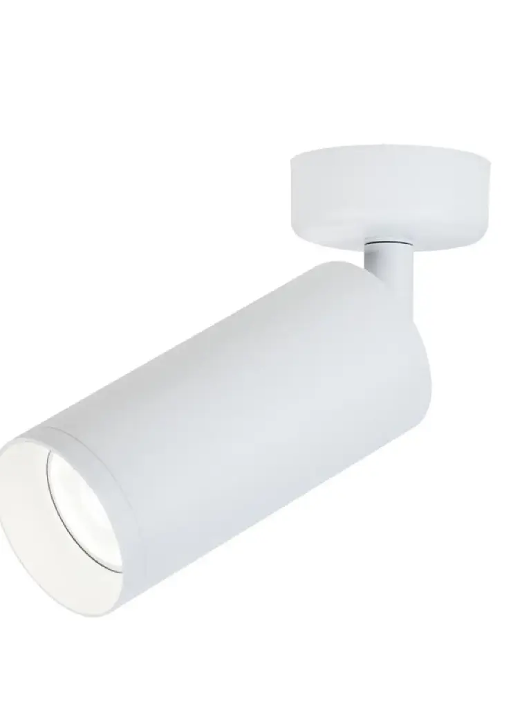 S054 GU10 Ceiling Spot max