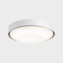 Besel Surface 20W Ø250mm